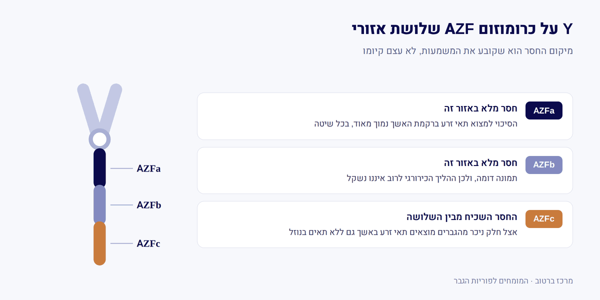 שלושת אזורי AZF על כרומוזום Y בבדיקת מיקרודלציות לפוריות הגבר